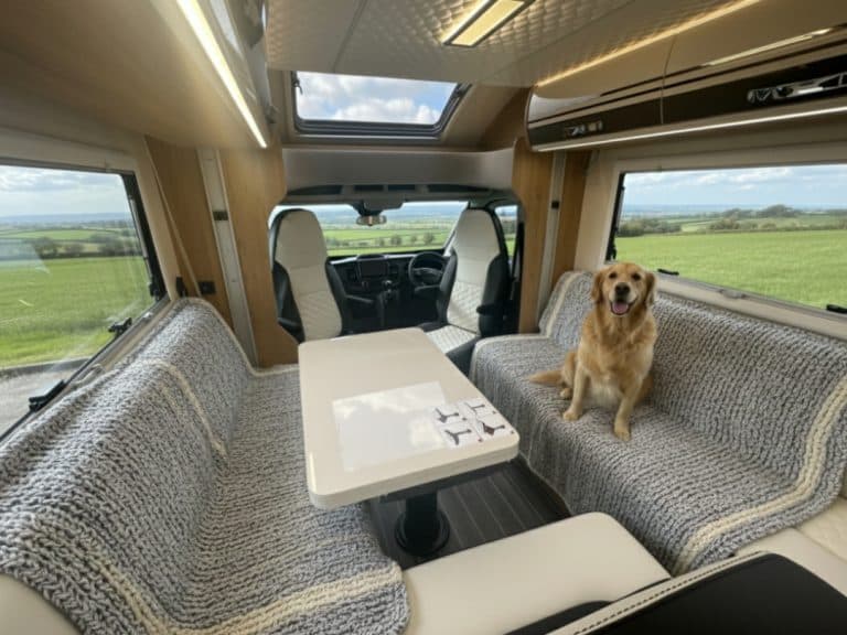 A golden retriever relaxing inside a dog-friendly Why Knott Hire motorhome